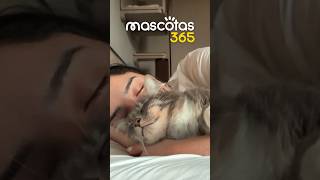 🐱💤 ¿Dejas que tu gato duerma contigo? Tu cuerpo podría agradecerlo 💛