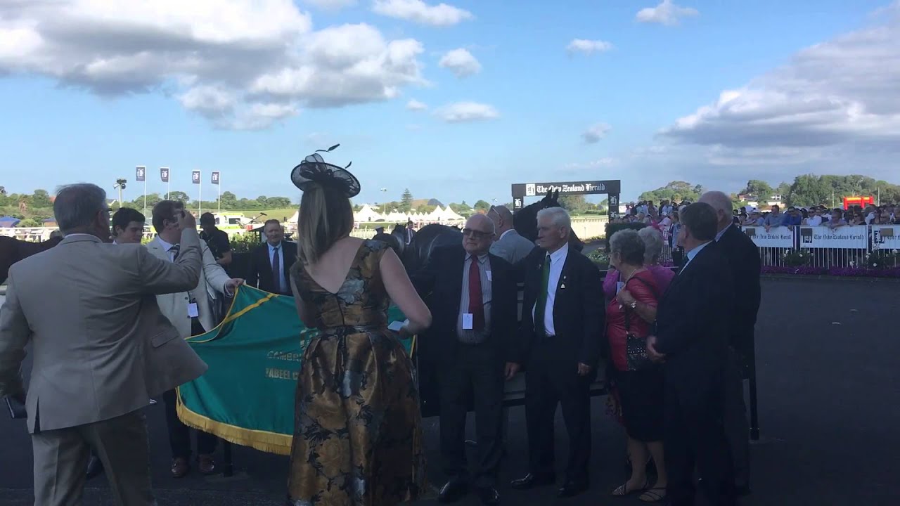 KAWI in the birdcage. Zabeel Classic 2015