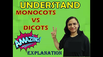 Monocots Vs Dicots - Amazing Explanation
