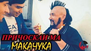 Ҷими Приколош Катӣ Къшт Ҳамара!