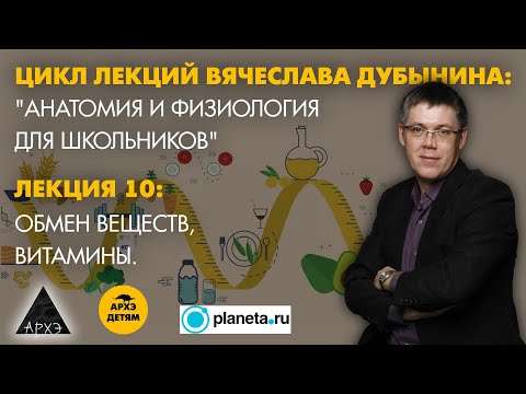 Вячеслав Дубынин: "Обмен веществ, витамины" (Лекция 10)