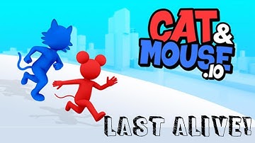 Cat and Mouse .io Gameplay - Last Alive