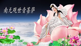 南无观世音菩萨圣号 七字五音 加长板🌷 消除災禍、帶來福報🌷💖南無觀世音菩薩 名號 108遍 計數版，常念保平安，危急危難，念觀世音菩薩名號，即得觀世音菩薩救渡🙏🙏 Buddhist Songs