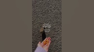 وفي السماء رزقكم وما توعدون | القارئ إسلام صبحي