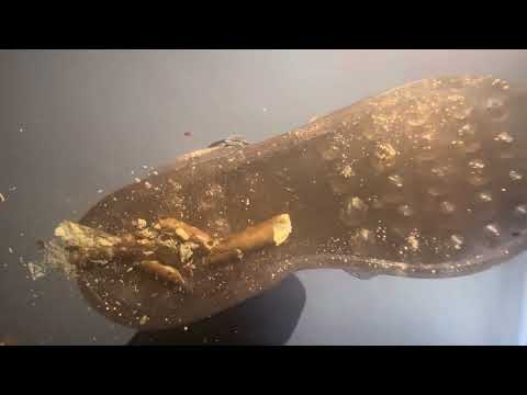ASMR/ Clear jelly shoes under glass 😇😴#jelly shoes#asmrtriggers