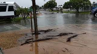 Hurricane Debby Vs. Super Sanitation Crew