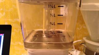 First cup of coffee made with a Raspberry Pi