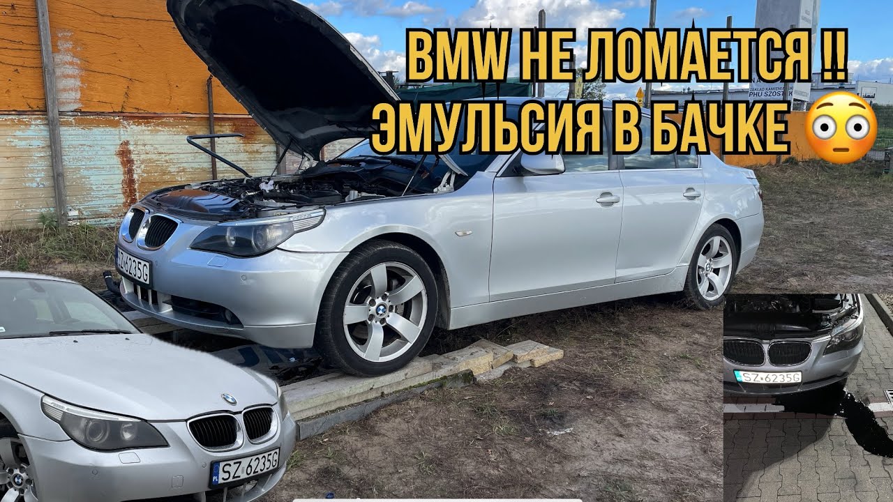 Купили BMW E60 ПО НИЗУ РЫНКА!!! Первый блин комом? Эмульсия в моторе ...