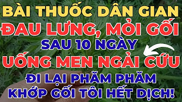 Cách Làm Men Ngải Cứu - Thứ Nước Giúp Tôi Đi Lại Phăm Phăm Đầu Gối Hết Dịch | Sống Khỏe Trường An