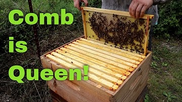 Draw New Combs in the Dearth!