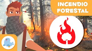 INCENDIO FORESTAL 🔥🌲 ¿Qué es un incendio forestal? 👨🏻‍🚒 Desastres naturales en 1 minuto