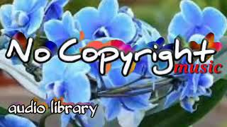 audio library-Back_to_portland-(musik bebas copyright) @audiolibrary_nocopyrightmusic