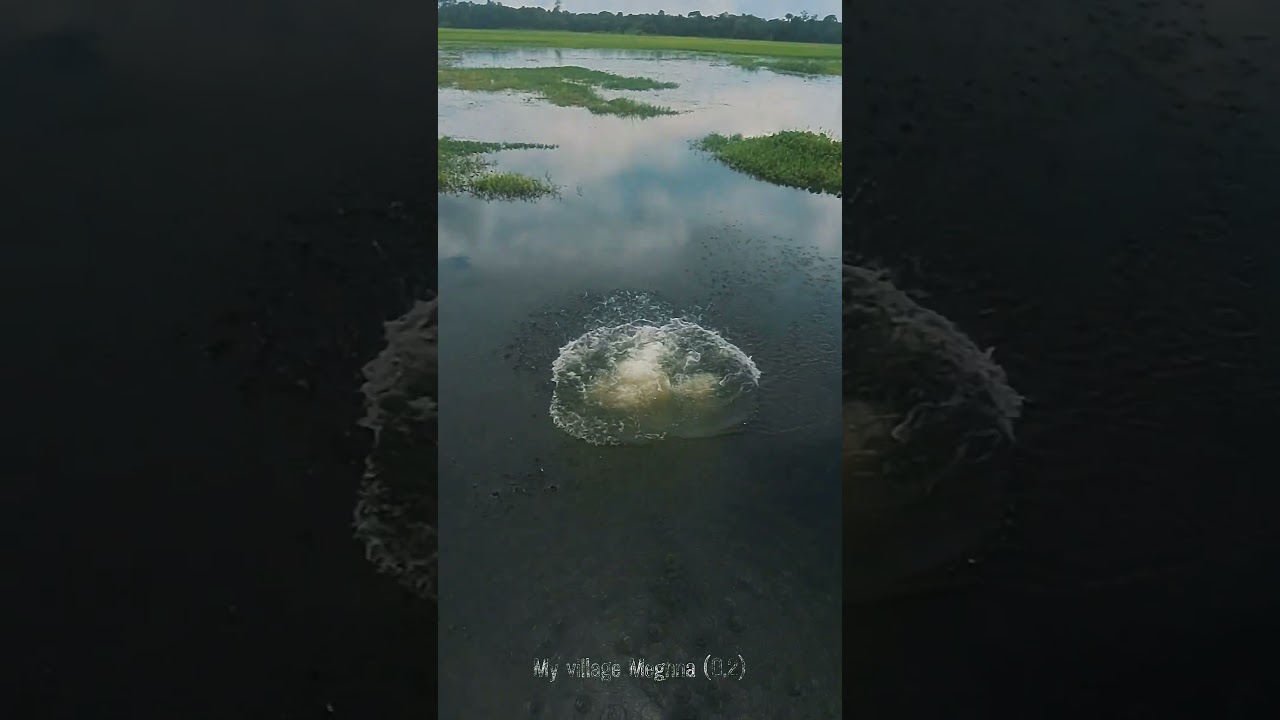 ছোট ব্লগ 😁😁 