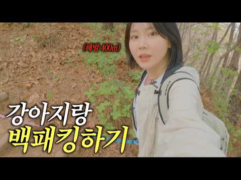 무계획 당일 백패킹