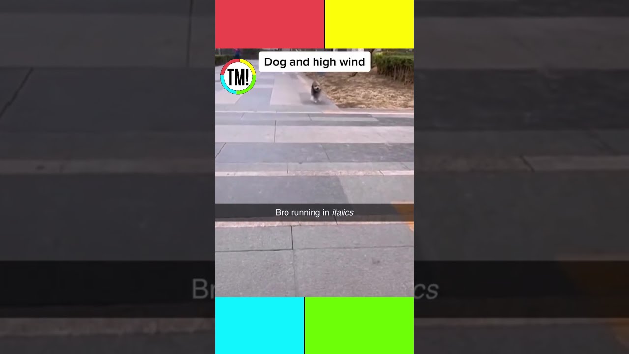 Meme That Made My Day 144