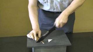 Fehrman Extreme Judgement Test 1
