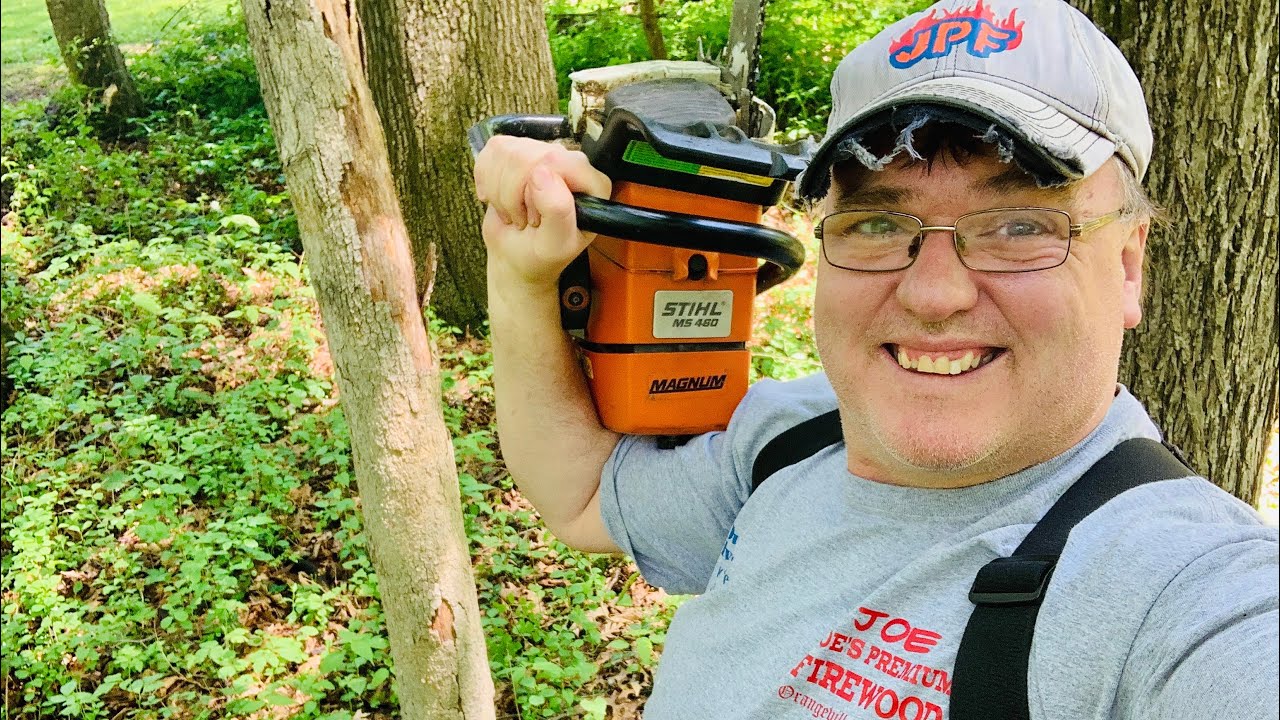 FIREWOOD | Felling white oak tree & bucking it & hickory - YouTube