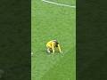 XAVI SIMONS AT THE FINAL WHISTLE: Sunderland 1-0 Tottenham
