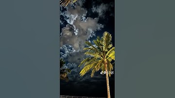 لا تهرب استمع الى القران الكريم ❤