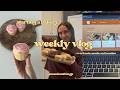 February Weekly Vlog | Icing cupcakes, grocery haul, coding a website