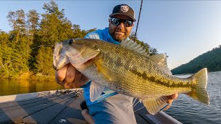 Fishing The Fall Transition For Bass (Subtle Tricks To Catch More Fish) Fishing The Fall Transition For Bass (Subtle Tricks To Catch More Fish)