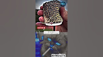 The Most Random Thing Ever 😵😂 #viral #funny #shorts