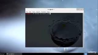 Ethical Hacking Advance Level Using Kali Linux DNSmapping