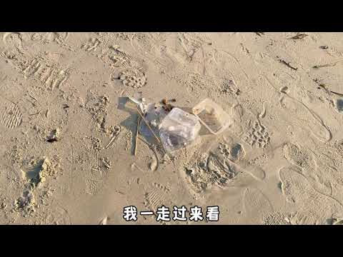 惠州巽寮湾创业生活记：带狗狗共赏美丽夕阳，浪漫生活触手可及！ #vlog旅行记 #旅行碎片 #一起看海 #保持热爱奔赴山海 #旅居生活