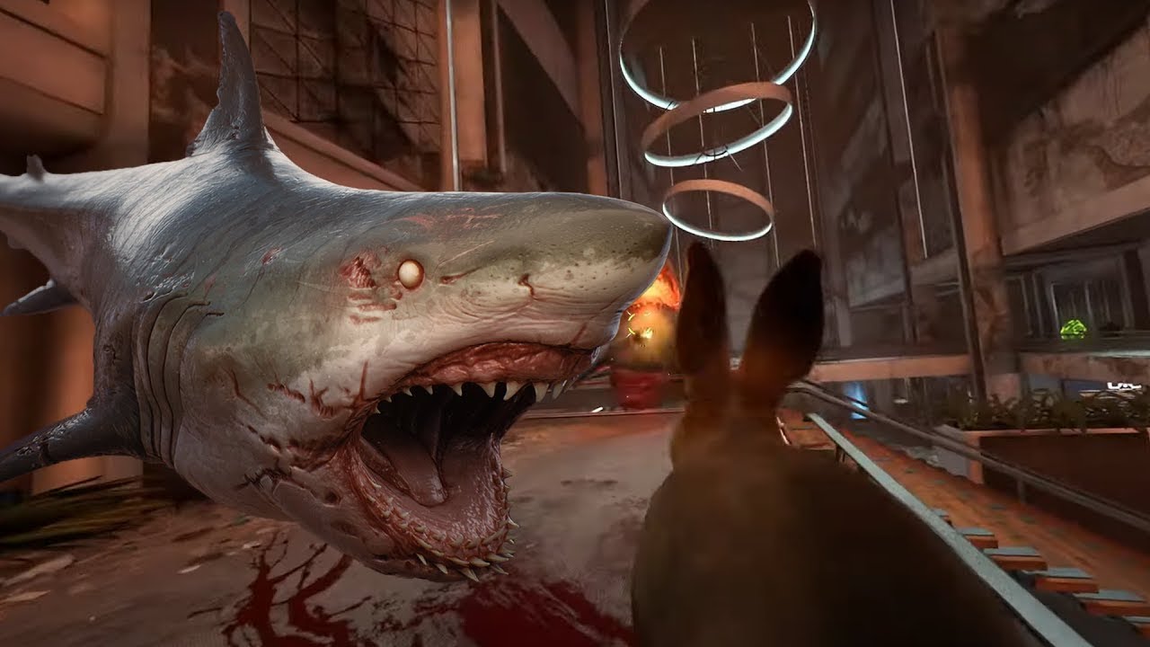Daisy vs DOOM Shark