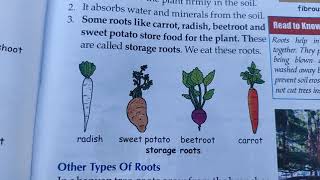 Class 4th chapter 17 part 01 plants around us