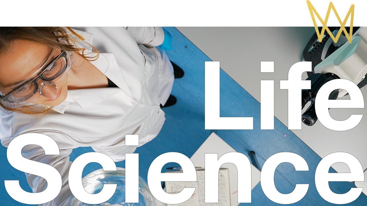 Mainstay Insurance Life Science YouTube Mainstay Insurance Life Science YouTube