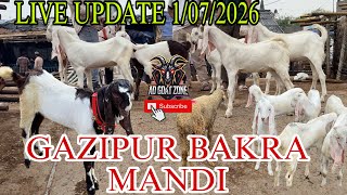 DELHI GAZIPUR BAKRA MANDI LIVE UPDATE 1/07/2026 @ADGoatzone #viralvideo #gazipurbakramandi 