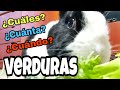 CONEJOS ¿qué VERDURAS pueden comer?