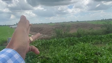 bán 7công đât ruộng xã tân thành gò công đông giá 220tr /1công lh0789530690