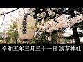 東京大衆歌謡楽団 令和五年三月三十一日 浅草神社 奉納演奏