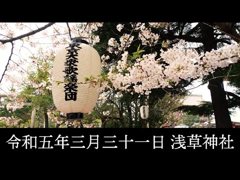 東京大衆歌謡楽団 令和五年三月三十一日 浅草神社 奉納演奏 - YouTube