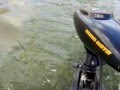 【MINNKOTA/ミンコタ】ENDURA C2 30