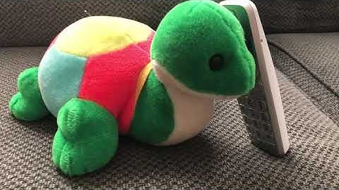 GIT 315 Assignment 4: Personal Video