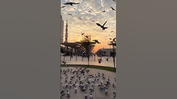 ✨ سورة طه بصوت يخشع له القلب | تلاوة تهز القلوب #طه#قرآن