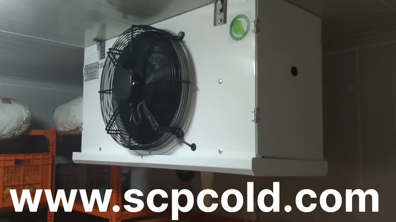 Restaurant Gujarati Punjabi South Indian Dish Cold Storage YouTube