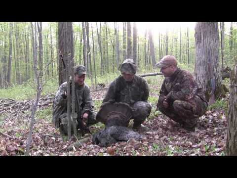 Jonny, Kevy, and JT go out together on the second day. They have 4-5 birds gobbling around them. 2 jakes were the first ones in... northeasternoutdoors.com