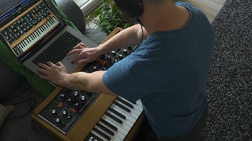 minimoog vs mini v4