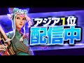 【フォートナイト】練習します【毎日配信22日目】
