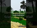 مزمور ١٥٠ كلمات بالموسيقى اللهجة الصعيدية