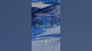 #سورة_القلم #سالم_الرويلي #قران_كريم #قرآن #guidedbyalquran #shortvideo #short #viralvideo #quran 🌹
