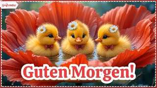 Guten Morgen, ein lieber Gruß für Dich 🌼❤️🌼 Grußvideo kostenlos* für WhatsApp & Co 💌 screenshot 3