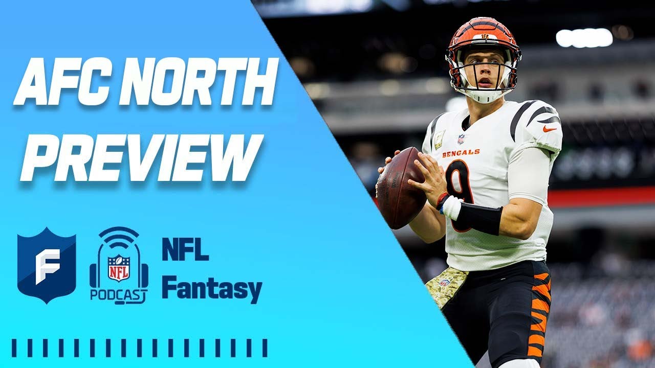 AFC North Fantasy Football Preview | NFL Fantasy Football 2022