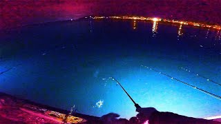 【北海道石狩湾・小樽釣り】激混みの小樽港で夜釣り!!　2025.10.19　北国の生活（マメイカ、カレイ、自動シャクリ機、投光器、都市の未来を暗示するネズミの繁殖実験の話）