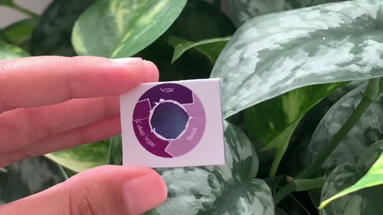 Green Active Packaging dan Food Freshness Indicator - Tim PKM-RE Salyaka UGM