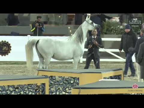  222      2024  7      5